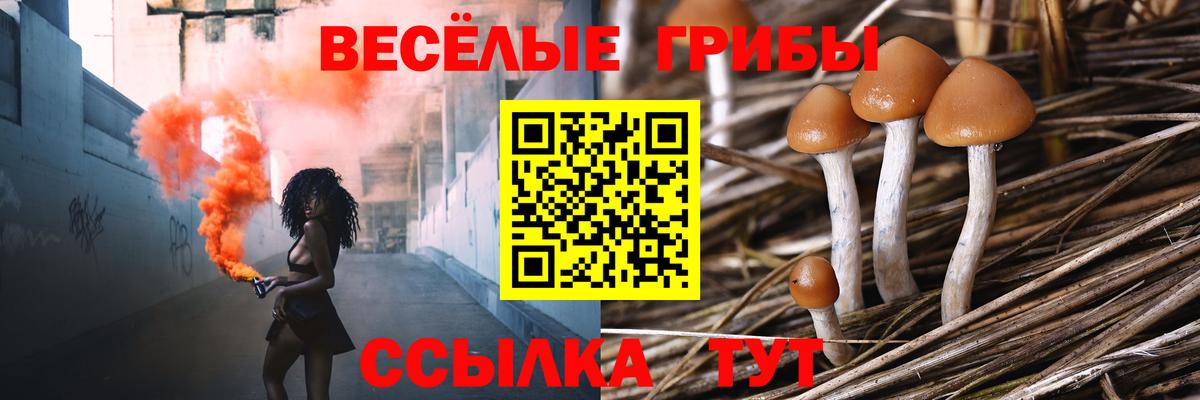Псилоцибиновые грибы GOLDEN TEACHER Тавда