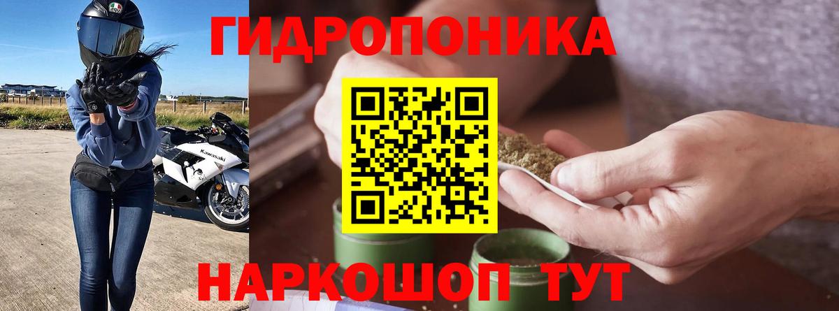 Бошки Шишки Ganja  Вход с VPN  Бошки Шишки индика  Тавда  Канабис индика  Каннабис ГИДРОПОН 